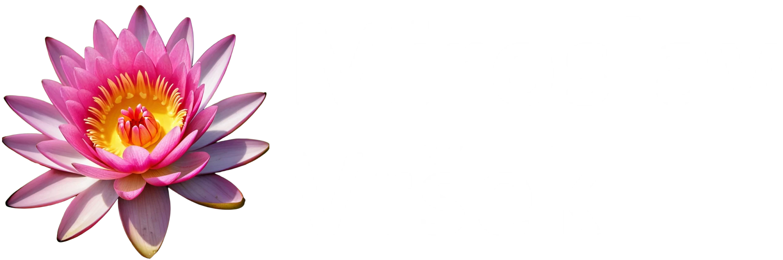 Miroslav Vršek